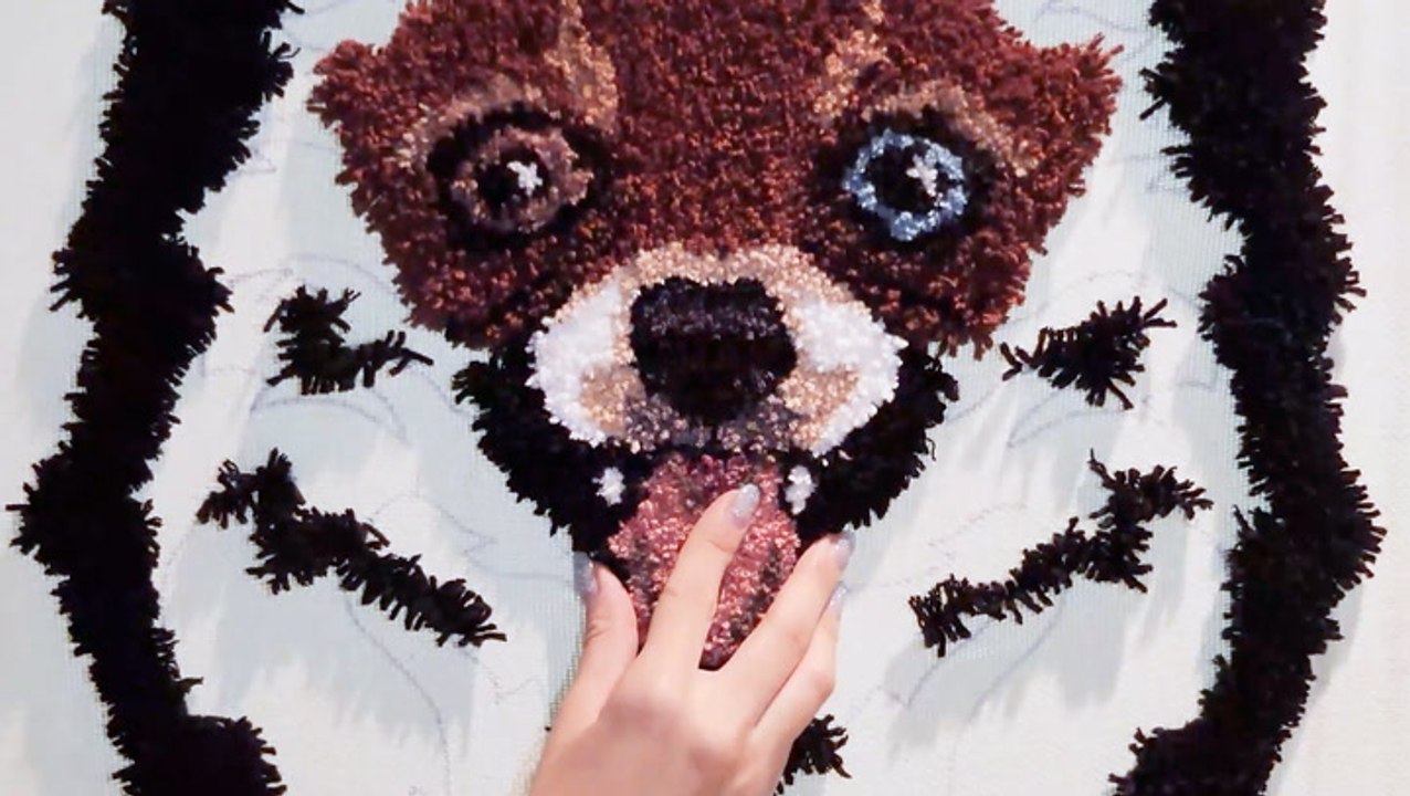 Artist uses a tufting gun to turn pet portraits into rugs