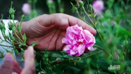 ...بحسب وكالة موديز ان يتراجع الى أربعة في ...