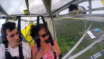 هل سمعت عن المرأة التي استقلت الطائرة واكتشفت أن مقعدها في دورة المياه