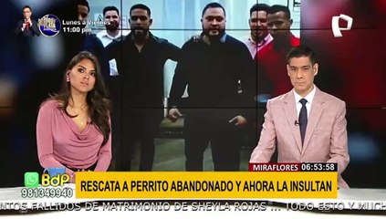 Miraflores: mujer recibe insultos tras rescatar a perro abandonado en la calle