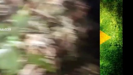 minha planta carnivoras