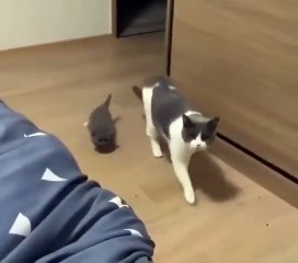 عندما تثق فيك الأم لدرجة أنها تجلب...