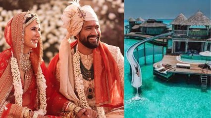 Katrina Kaif-Vicky Kaushal हनीमून के लिए जाएंगे मालदीव! रिपोर्ट में हुआ खुलासा | FilmiBeat