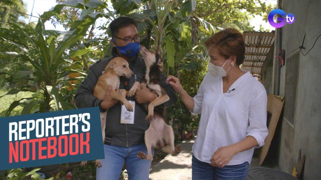 Reporter's Notebook: Mga alagang hayop, kasiyahan ang hatid sa mga taong naapektuhan ng pandemya!