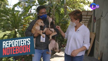Reporter's Notebook: Mga alagang hayop, kasiyahan ang hatid sa mga taong naapektuhan ng pandemya!