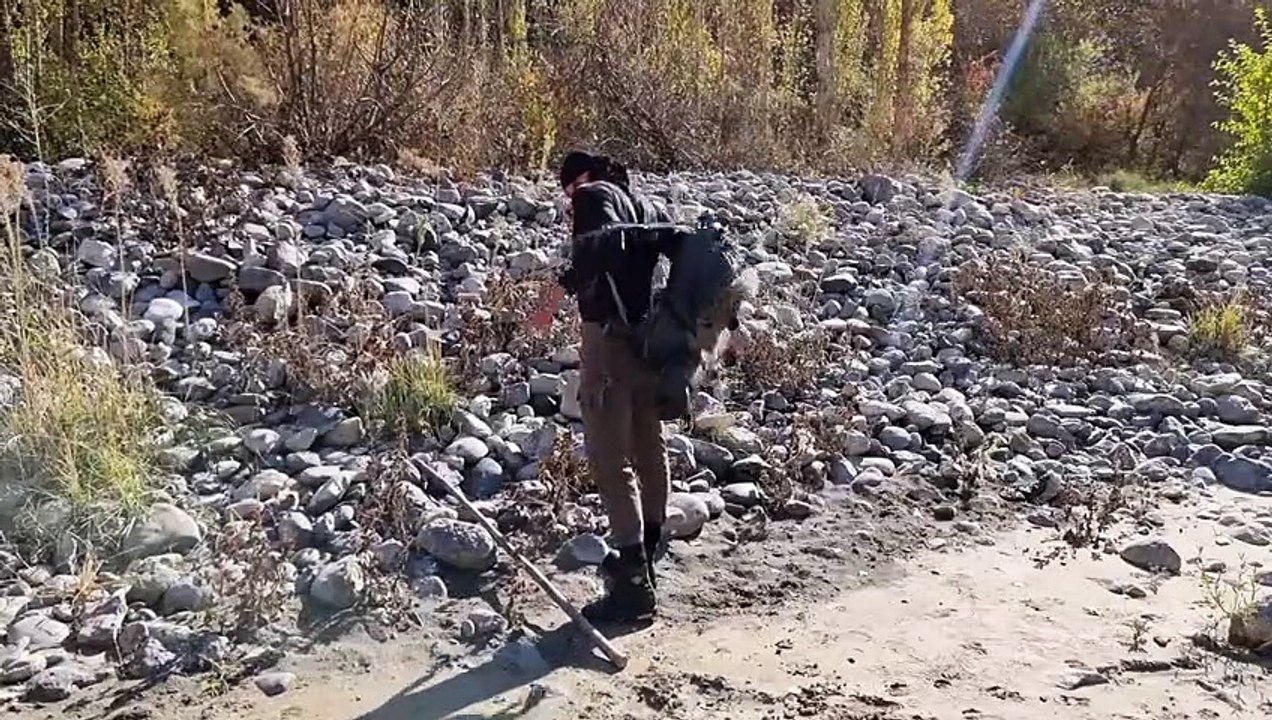 Fishing in the river