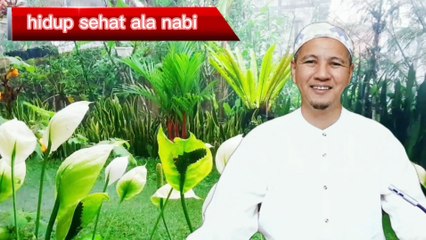 HIDUP Sehat Ala Nabi HABIB NOVEL ALAYDRUS