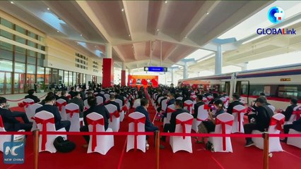 1st China-Laos Railway freight train leaves Vientiane for China