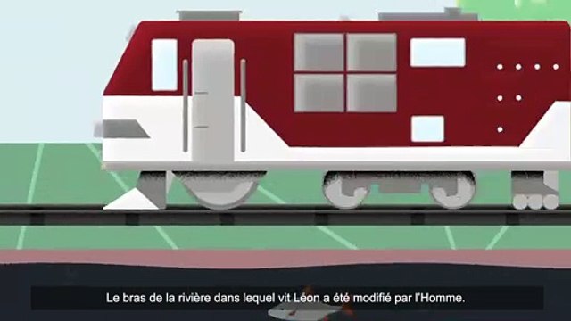 Rivières et diversité, en suivant Léon le Gardon (DREAL Pays de la Loire)