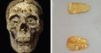 En Égypte, des archéologues ont découvert des momies aux langues d'or