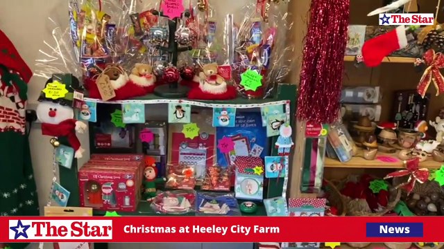 Christmas at Heeley City Farm