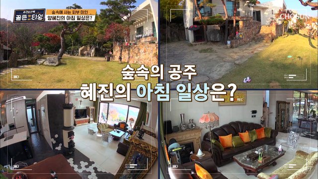 숲속에 사는 동안미녀 양혜진의 아침 루틴 TV CHOSUN 211210 방송