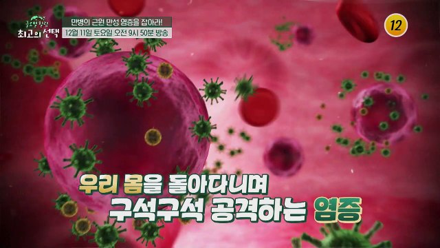 만병의 근원 만성 염증을 잡아라!_글로벌 힐링 최고의 선택 24회 예고 TV CHOSUN 211211 방송