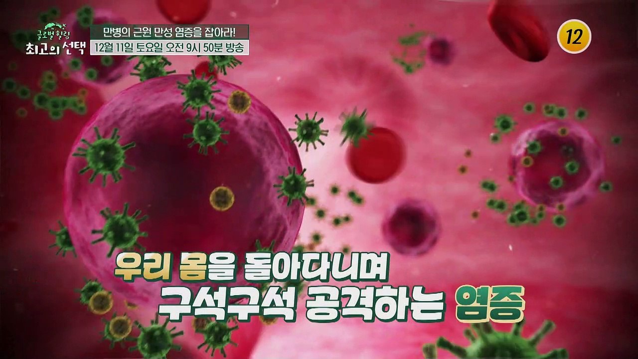 만병의 근원 만성 염증을 잡아라!_글로벌 힐링 최고의 선택 24회 예고 TV CHOS...