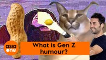 TLDR: Funny or not? What is Gen Z humour?