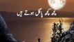 Whatsapp Status Shayari  WhatsApp status Poetry  WhatsApp status Urdu Video  BEST LINES110