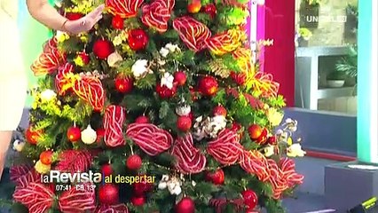 Humor: Diseñador mostró modelos exclusivos de árboles para la casa de Anabel