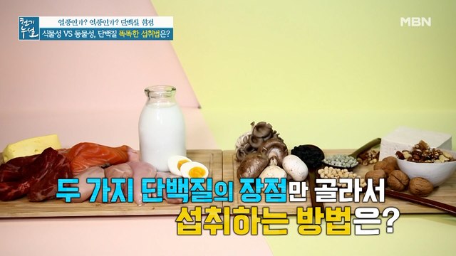 논란의 중심, 동물성 단백질 vs 식물성 단백질 똑똑한 섭취법은?