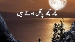 Whatsapp Status Shayari  WhatsApp status Poetry  WhatsApp status Urdu Video  BEST LINES110