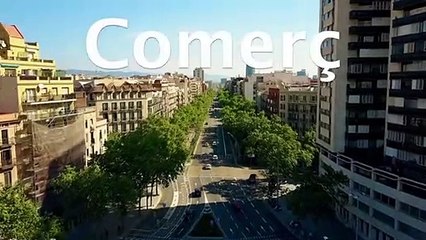 El Consell de Gremis