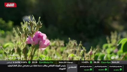 ...البيوت القديمة هذه تكون موجودة ويتم استث...