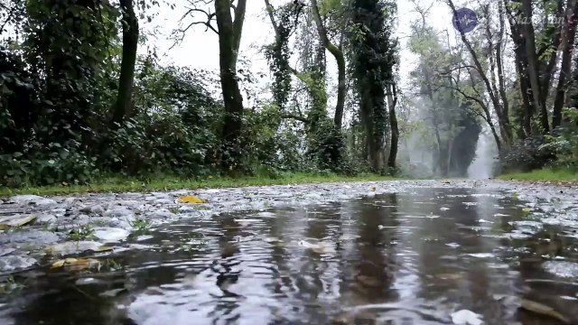 Musik Relaksasi Pengantar Tidur, Relaksasi Otak dengan Suara Air Hujan