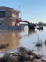 Selden sığındıkları binada 3 gündür mahsur kalan köpekler iş makinesiyle kurtarıldı