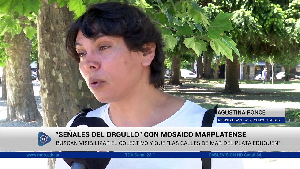 NOTICIAS CANAL UNIVERSIDAD - PROGRAMA 11
