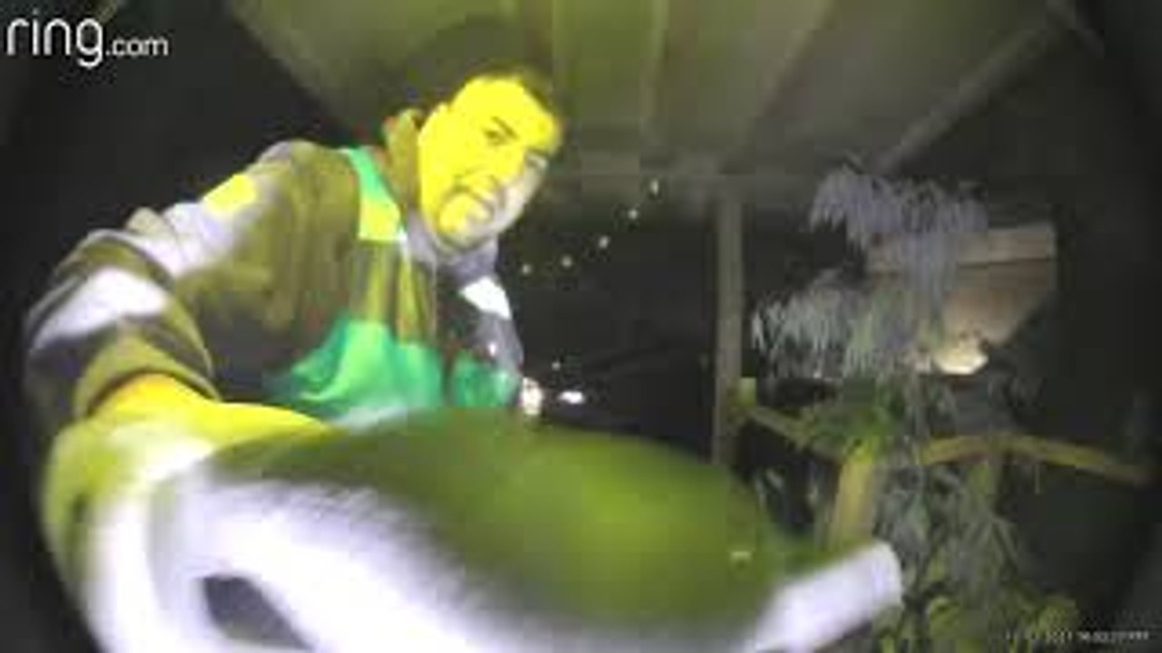 Ding Dong Dangit for Delivery Driver