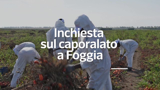 Caporalato a Foggia, indagata la moglie di un dirigente del Viminale