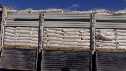 AFYONKARAHİSAR - Çuvalı 195 liradan temin edilen 4 bin çuval un fırıncılara dağıtıldı