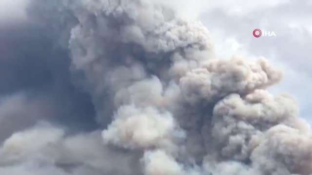 Avustralya orman yangınlarıyla mücadele ediyorÇarşamba gününden bu yana süren yangınlardan en az 6 bin hektarlık alan etkilendi