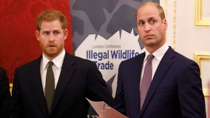 GALA VIDEO - Quand Harry en voulait à William de le faire passer pour le bad boy de la famille royale…