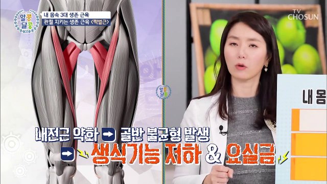 내 몸속 3대 생존 근육 3가지 정체는? TV CHOSUN 20211216 방송