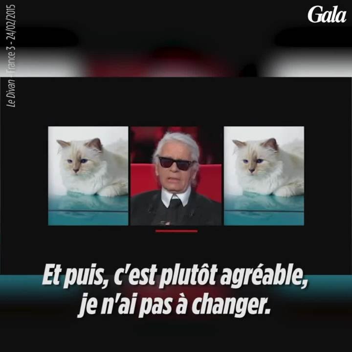 GALA VIDÉO - Quand Karl Lagerfled disait à Marc-Olivier Fogiel que Choupette était son héritière