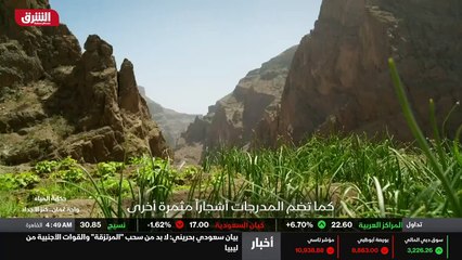 ...جدا . انها عائلة قليلة الكلام ، لكن مصبح...