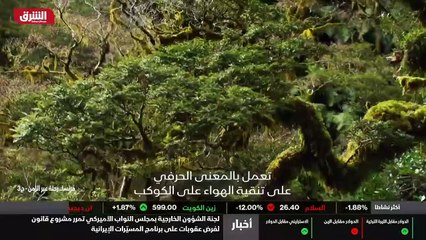 ...وربما اكتشفوا غابة استثنائية عفا عليها ا...