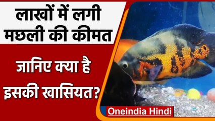 Uttar Pradesh: Bulandshehar में Allah-Mohammad लिखी Fish, लाखों में लगी बोली | वनइंडिया हिंदी