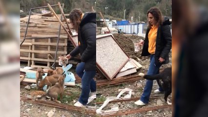 Öğretmen sokak hayvanlarını beslediği için sürgün edildi