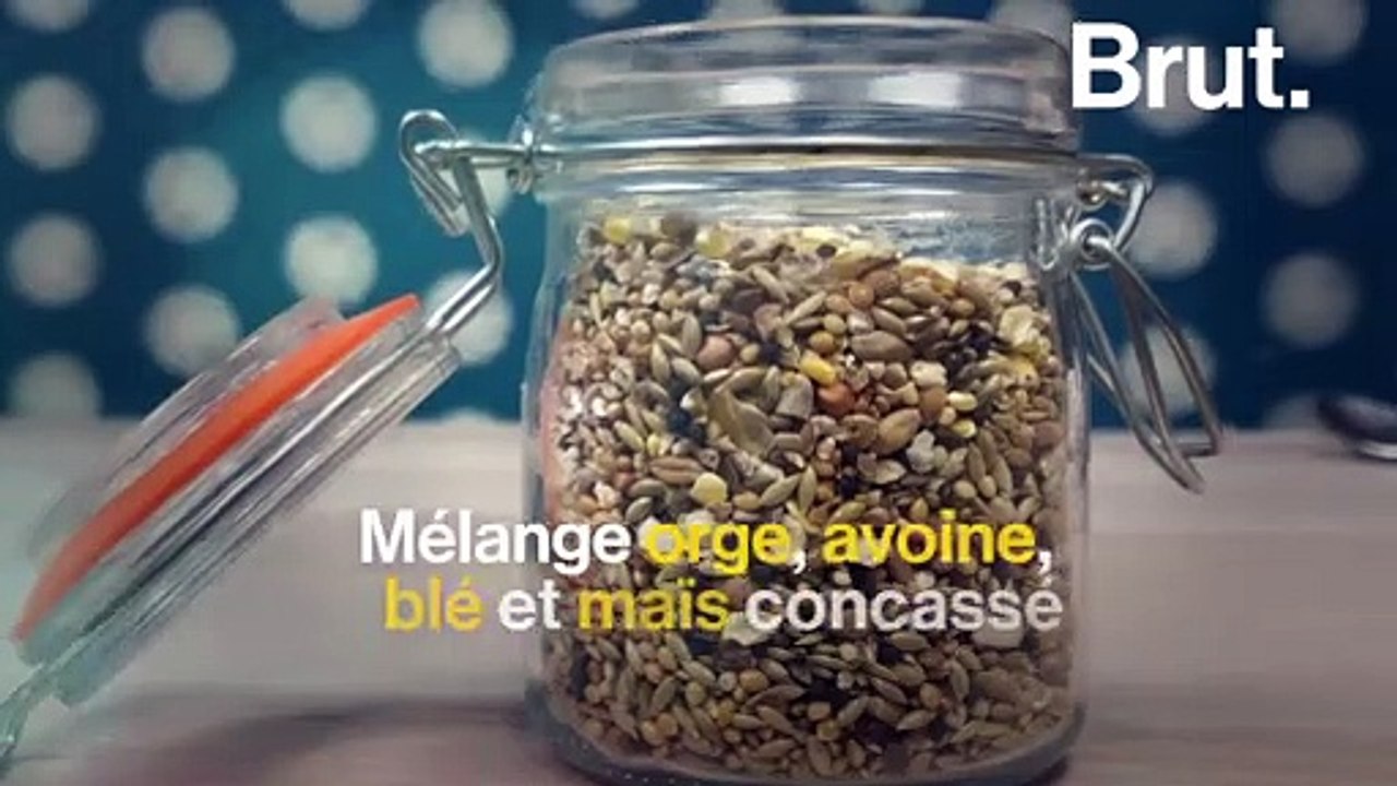 Tuto : Comment faire une boule de graisse pour oiseaux ?
