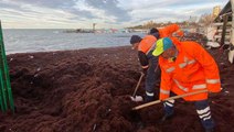 Lüks semtte boydan boya kırmızıya bürünmüş sahili gören vatandaş: Marmara Denizi kusuyor sandım