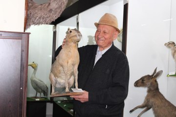 Yarım asırdır hayvan dolduruyor