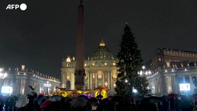 Vaticano, l'albero di Natale e il presepe allestiti in Piazza San Pietro