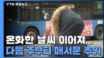 온화한 겨울, 미세먼지 기승...다음 주 매서운 추위 / YTN