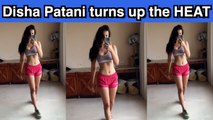 Disha Patani flaunts her washboard abs, Tiger Shroff reacts