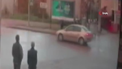 Veteriner Hekim Bostancı'dan köpek saldırılarına karşı uyarı: "Göz göze gelmekten kaçınmalıyız"