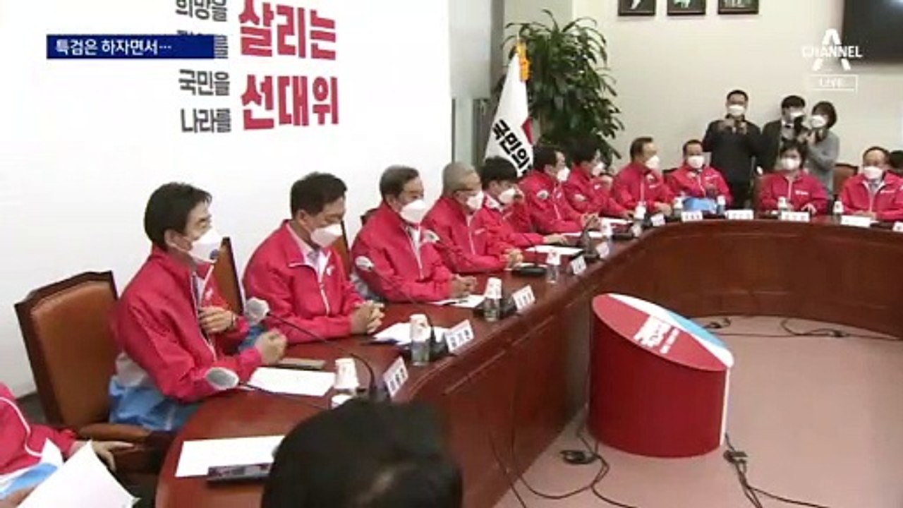 민주당 “尹 의혹도 포함” vs 국민의힘 “특검 회피 물타기”