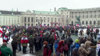 Protesto contra a vacinação obrigatória em Viena