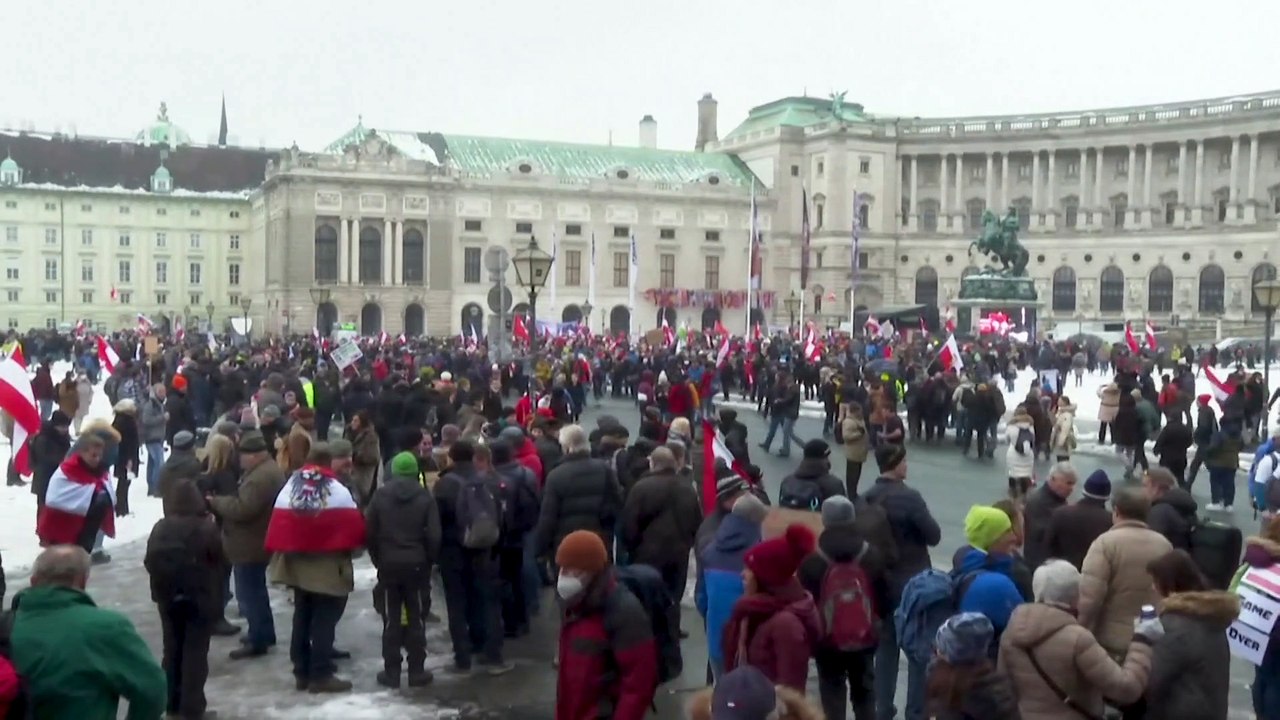 Вена: протест против обязательной вакцинации
