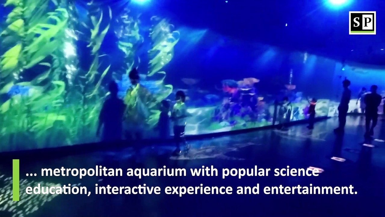 Dream Aquarium sea world ocean park Shenzhen